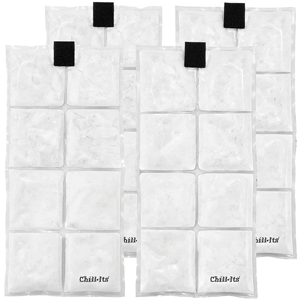 Ergodyne® Chill-Its® 6250 Rechargeable Phase Change Ice Packs, 4/Pkg