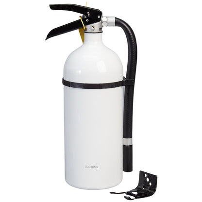 Kidde 4 lb ABC Living Area Fire Extinguisher with Wall Hook