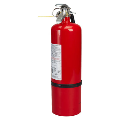 Badger Standard 10 lb ABC Fire Extinguisher with Wall Hook
