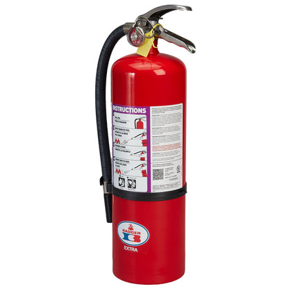 Badger Extra 10 lb Purple K Fire Extinguisher with Wall Hook