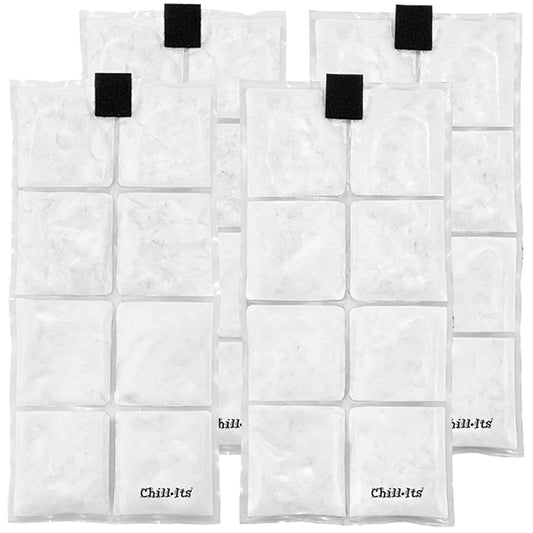 Ergodyne® Chill-Its® 6250 Rechargeable Phase Change Ice Packs, 4/Pkg