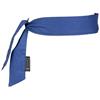 Ergodyne® Chill-Its® 6700 Cooling Bandana, Polymer Crystals, Tie Closure, Blue, 1/Each Ergodyne® Chill-Its® 6700 Cooling Bandana, Polymer Crystals, Tie Closure, Blue, 1/Each