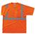 Ergodyne® GloWear® 8289 Type R Class 2 T-Shirt, Large, Orange, 1/Each Ergodyne® GloWear® 8289 Type R Class 2 T-Shirt, Large, Orange, 1/Each
