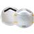 Gerson® N95 Disposable Particulate Respirators Gerson® N95 Disposable Particulate Respirators