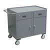 Jamco Mobile Cabinet, 2 Drawers, 2 Doors, 36"H x 36"W x 24"D, Gray, 1/Each Jamco Mobile Cabinet, 2 Drawers, 2 Doors, 36"H x 36"W x 24"D, Gray, 1/Each