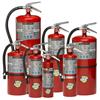 Buckeye ABC Portable Fire Extinguishers Buckeye ABC Portable Fire Extinguishers
