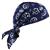 Ergodyne® Chill-Its® 6710 Cooling Triangle Hat, Navy Western, 1/Each Ergodyne® Chill-Its® 6710 Cooling Triangle Hat, Navy Western, 1/Each