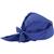 Ergodyne® Chill-Its® 6710CT Hat w/ Cooling Towel, Blue, 1/Each Ergodyne® Chill-Its® 6710CT Hat w/ Cooling Towel, Blue, 1/Each