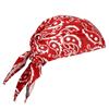 Ergodyne® Chill-Its® 6710 Cooling Triangle Hat, Red Western, 1/Each Ergodyne® Chill-Its® 6710 Cooling Triangle Hat, Red Western, 1/Each